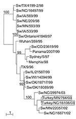 Thumbnail of Phylogenetic tree representing the HA nucleotide sequences of two H3N2 influenza viruses isolated from turkeys on geographically distant farms in the United States and of selected swine influenza virus strains. Nucleotide sequences were aligned by using the Clustal_X (19) program, and phylograms were generated by the neighbor-joining method using the NJplot program (20). The scale is proportional to the numbers of substitutions per nucleotide.