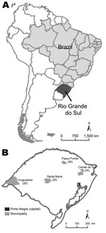 Thumbnail of Location of Rio Grande do Sul, Brazil (A) and distribution of 157 patients with pandemic (H1N1) 2009 in 4 cities in this state (B). Values in parentheses are numbers of patients.