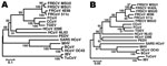Thumbnail of Phylogenetic tree based on nucleotide sequences of the nucleocapsid (A) and spike gene (B) of ferret coronaviruses (FRCoVs) 4E98 (GenBank accession nos. JF260916 and JF260914, respectively) and 511c (accession nos. JF260915 and JF260913, respectively) and other coronaviruses (CoVs). Partial nucleotide sequences were aligned by using ClustalX (www.clustal.org) and a neighbor-joining Kimura 2-parameter model with 1,000 bootstrap replicates; avian CoVs were used as outgroup sequences (