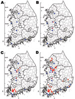 Thumbnail of Progress of highly pathogenic avian influenza (HPAI) outbreak by time, South Korea, 2010–2011. A) HPAI-positive cases identified from samples collected November 26–December 28, 2010 (wild birds, 6 cases). B) Cases identified by January 4, 2011 (wild birds, 10 cases; poultry, 2 cases). C) Cases identified by January 11, 2011 (wild birds, 13 cases; poultry, 23 cases). D) Cases identified by May 16, 2011 (wild birds, 20 cases; poultry, 53 cases). Blue circles indicate locations where H