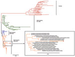 Thumbnail of Phylogenetic analysis of avian influenza subtype H10 hemagglutinin (HA) sequences. HA sequences of all subtype H10 viruses deposited in GenBank were downloaded, and a neighbor-joining tree was created by using Jukes-Cantor as the genetic distance model on Geneious 5.14 software (Biomatters Ltd, Auckland, New Zealand) and a phylogenetic tree drawn by using FigTree version 1.3.1 (http://tree.bio.ed.ac.uk/software/figtree/). A representative HA sequence from the subtype H10N7 viruses d