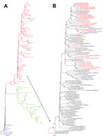 Thumbnail of Phylogenetic tree of the hemagglutinin genes of avian influenza subtype H5N1 viruses isolated in Egypt during 2006–2014 and reference isolates from GenBank. Phylogenetic analysis was conducted by using the neighbor-joining algorithm with the Kimura 2-parameter model. Strain A/bar-headed goose/Qinghai/3/2005 was used as the root for the tree, and the reliability of phylogenetic inference at each branch node was estimated by the bootstrap method with 1,000 replications. Evolutionary a
