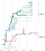 Thumbnail of Reconstruction of amino acid changes along trunk of lineage B phylogenies of influenza A(H7N9) viruses, China. Maximum clade credibility tree of hemagglutinin gene sequences from lineage B is shown. Branches are colored according to geographic locations, as in Figure 3. Thicker lines indicate the trunk lineage leading up to the current fifth influenza epidemic wave. Amino acid changes along the trunk are indicated. Red branches indicate sites undergoing parallel amino acid changes a