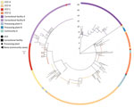 Phylogenetic tree of severe acute respiratory syndrome coronavirus 2 associated with selected outbreaks in Minnesota, USA, March 6–June 30, 2020. IQ-TREE (29) was used with the general time reversible substitution model for tree generation. Branch lengths were scaled to represent number of single-nucleotide mutations as shown in the scale key. LTCF, long-term care facility.