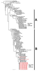 Phylogenetic reconstruction of dengue virus 1 from a dengue outbreak response during COVID-19 pandemic, Key Largo, Florida, USA, 2020. A) Central American lineage, 1986–2014; B) Caribbean lineage, 2008–2020. Maximum-likelihood tree of genotype V was inferred by using envelope gene sequences representing the Central American and Caribbean lineages. Red text indicates sequences obtained in this study. Sequence FL-Miami_human_2020 was obtained from a Miami-Dade County resident with recent travel history to Cuba. We obtained 2 sequences (GenBank accession nos. OM909246 and OM909247) from the National Reference Laboratory for Arboviruses, French Armed Forces Biomedical Research Institute, Bretigny-sur-Orge, France. Scale bar indicates nucleotide substitutions per site.