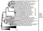 Phylogenetic analysis of highly pathogenic avian influenza A(H5N1) clade 2.3.4.4b virus detected in domestic cat, France, 2022. Tree was created by using MEGA 7 software (https://megasoftware.net) and the neighbor-joining method with 1,000 bootstrap replicates for complete concatenated HPAI H5N1 virus segments. All sequences belong to the A/duck/Saratov/29-02V/2021–like genotype. Red solid circle indicates virus sequence from cat; black solid circle indicates sequence from a nearby duck farm. Both sequences are available in the GISAID database (https://www.gisaid.org) under accession nos. EPI_ISL_16395206 (cat) and EPI_ISL_16740903 (duck). Red bracket indicates closely related sequences detected during the same period and area in France from domestic bird farms. Scale bar indicates nucleotide substitutions per site.