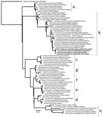 Phylogenetic analysis of the hemagglutinin gene of highly pathogenic avian influenza A(H5N1) clade 2.3.4.4b viruses isolated from domestic ducks during outbreaks in South Kalimantan, Indonesia, in April 2022 and July 2023 compared with reference sequences. Bold font indicates the viruses isolated from duck farms in this study. Letters at right indicate subclades. Evolutionary history was inferred by using the maximum-likelihood method and best-fit general time reversible plus gamma distribution 4 substitution model involving 67 hemagglutinin H5 sequences from the GISAID database (http://www.gisaid.org); a total of 1,656 positions were in the final dataset. Scale bar indicates nucleotide substitutions per site.