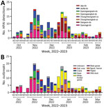 HPAI A(H5N1) clade 2.3.4.4b viruses and outbreaks, South Korea, October 2022–March 2023. A) Number of HPAI viruses detected in wild birds, by week, month, and geographic region. Geographic regions were determined according to a discrete trait analysis conducted for the study. B) Number of HPAI outbreaks, by week, month, and host species category. HPAI, highly pathogenic avian influenza. 