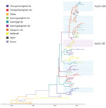 Maximum clade credibility tree constructed using the hemagglutinin gene of highly pathogenic avian influenza A(H5N1) clade 2.3.4.4b virus, with geographic region as a discrete trait, South Korea, June 2022–January 2023. Each branch is colored according to the geographic region specified in the legend. Each genotype was assigned an alphabet letter based on the Kor22–23 nomenclature, which indicated the region of origin (Kor) and year of origin (2022–2023). Orange shade represents Kor22–23B genotype viruses. Violet shades represent Kor22–23C genotype viruses. Blue shades represent Kor22–23D genotype viruses. The x-axis is in decimal year format.